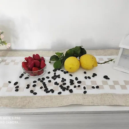 Apartament Alcivico26